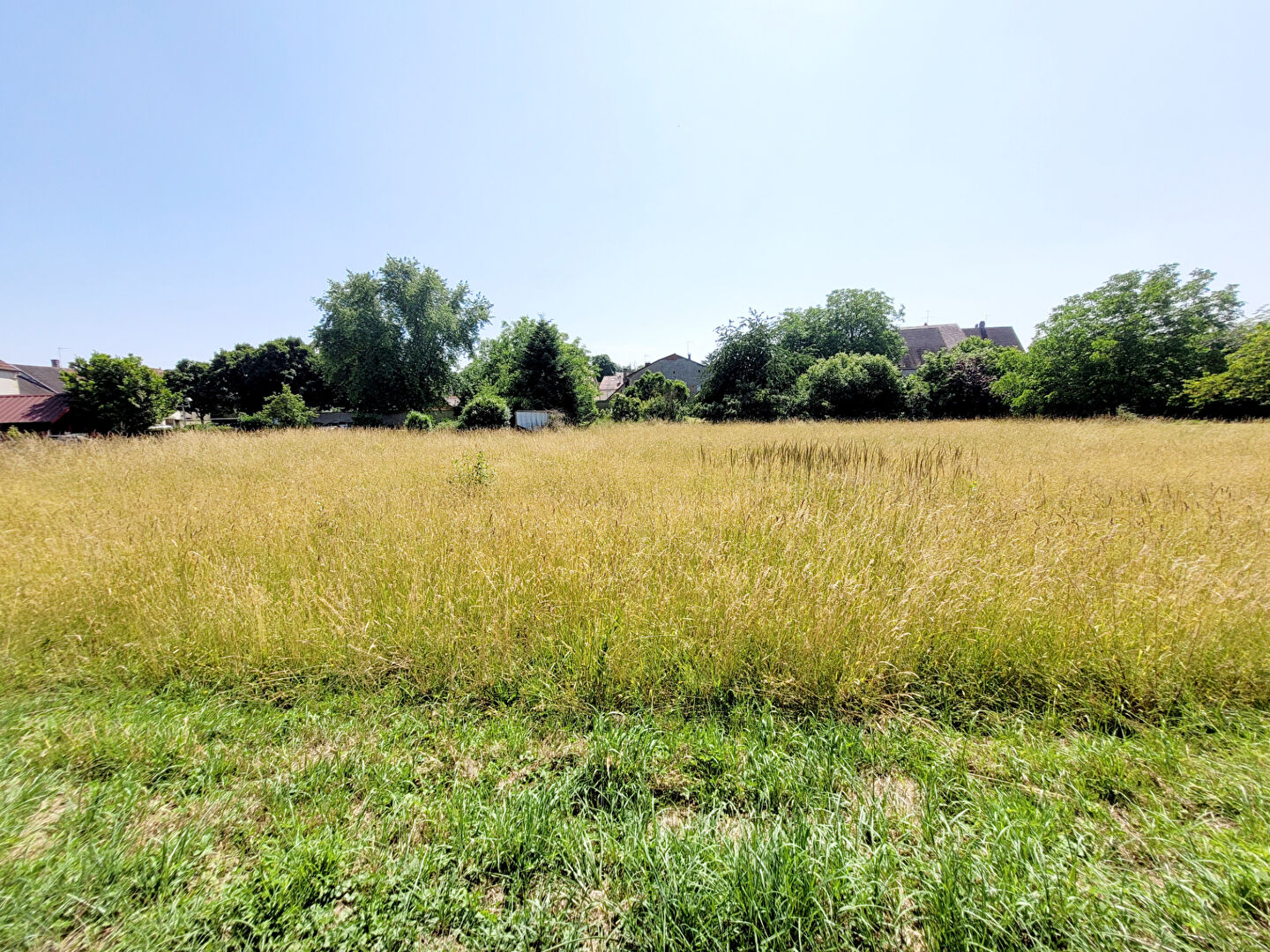 Agence immobilière de L'agence des tanneurs - Dole