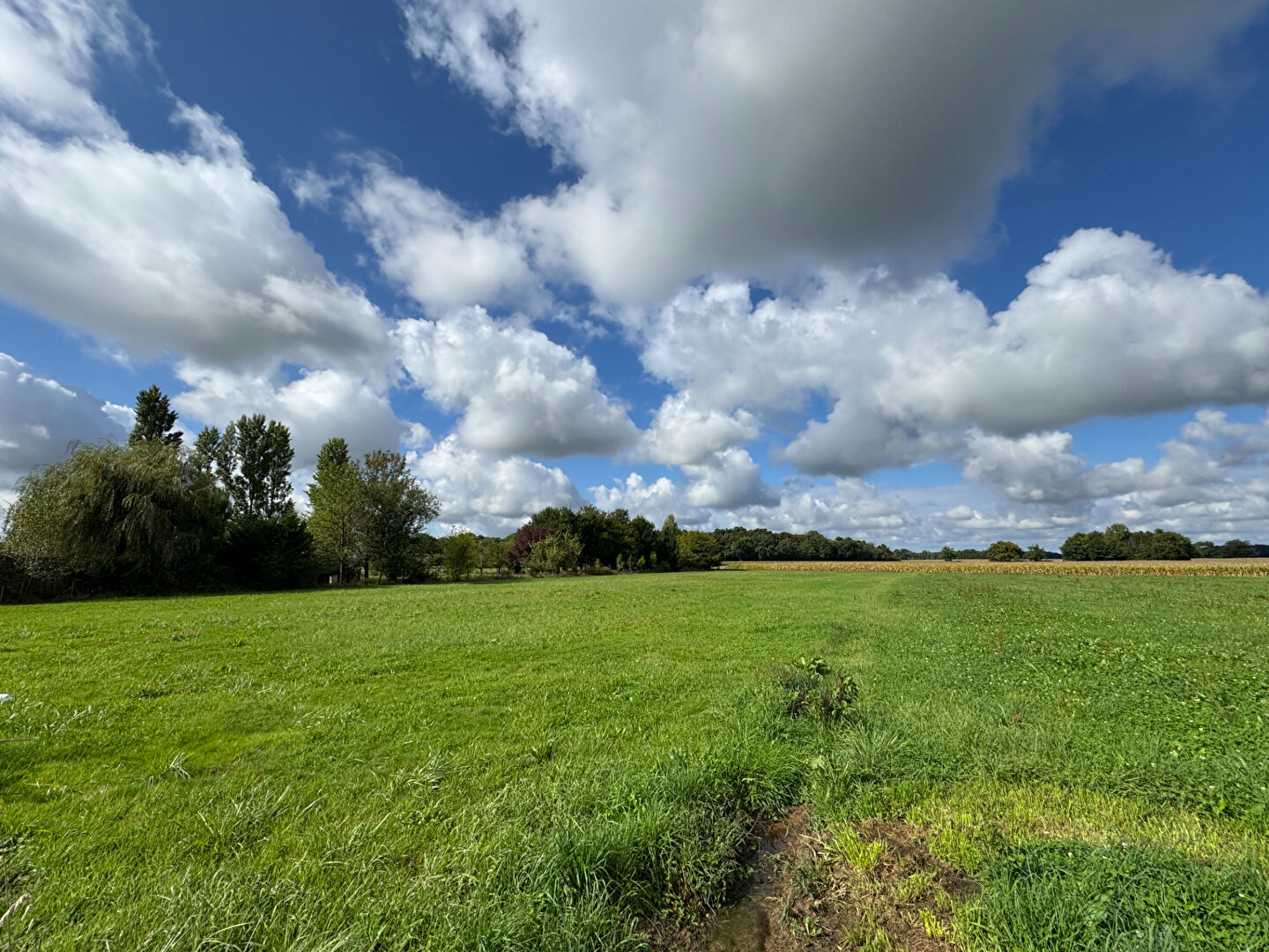 Terrain Abergement La Ronce 5800 m2