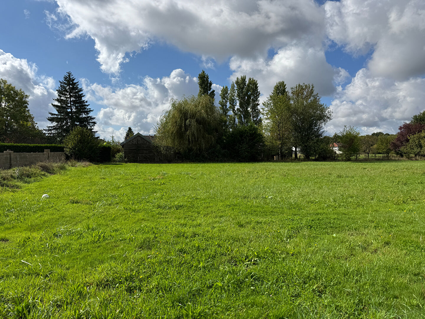 Photo Terrain Abergement La Ronce 5800 m2 image 2/3