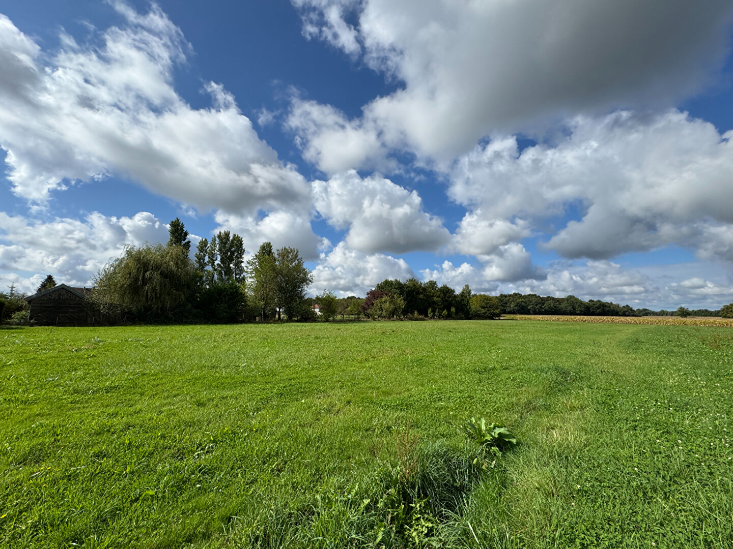 Photo Terrain Abergement La Ronce 5800 m2 image 3/3