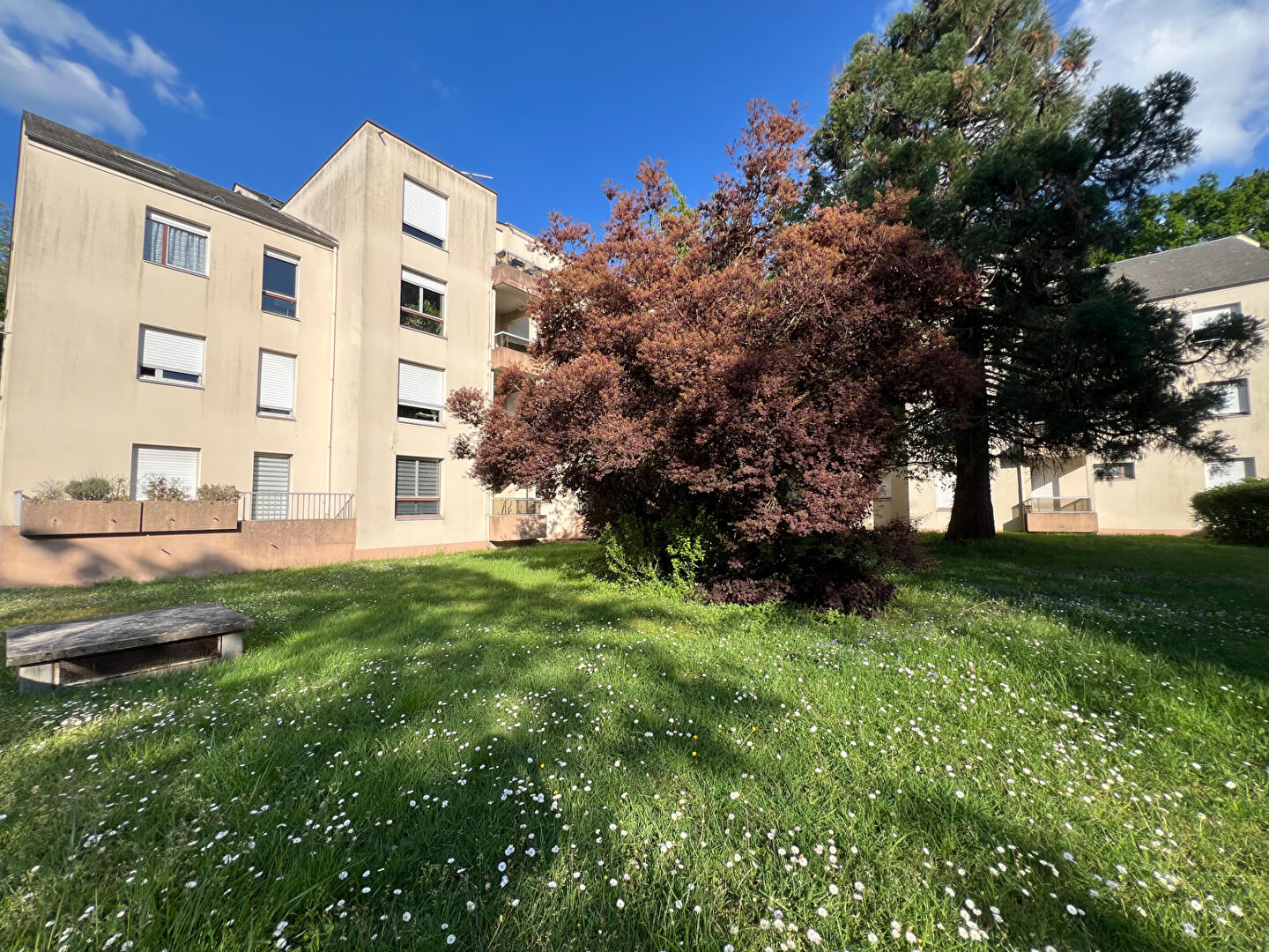 Agence immobilière de L'AGENCE D'ORLEANS Orléans