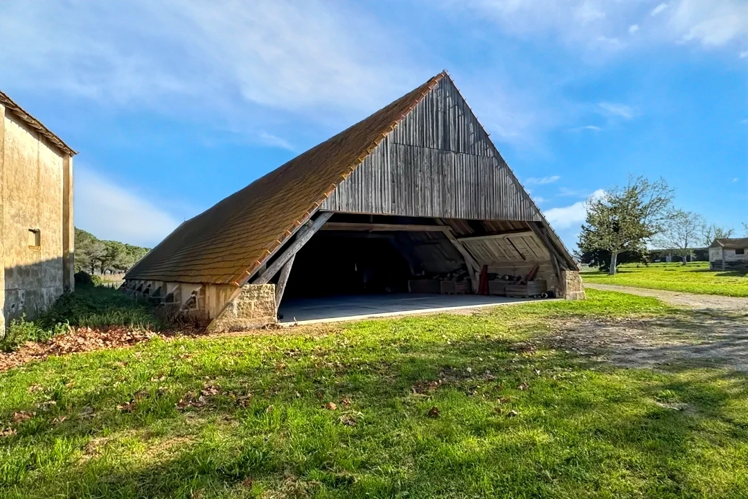 Photo Demeure de prestige Arles 1200 m2 image 4/6