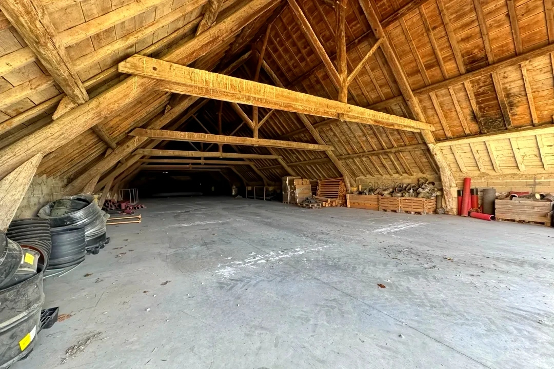 Photo Demeure de prestige Arles 1200 m2 image 6/6