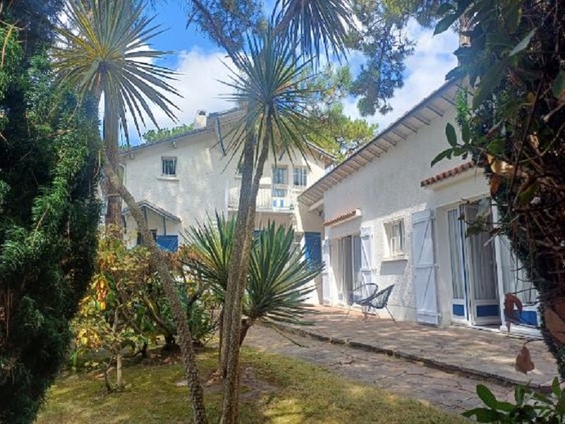 Agence immobilière de Lawson Immobilier