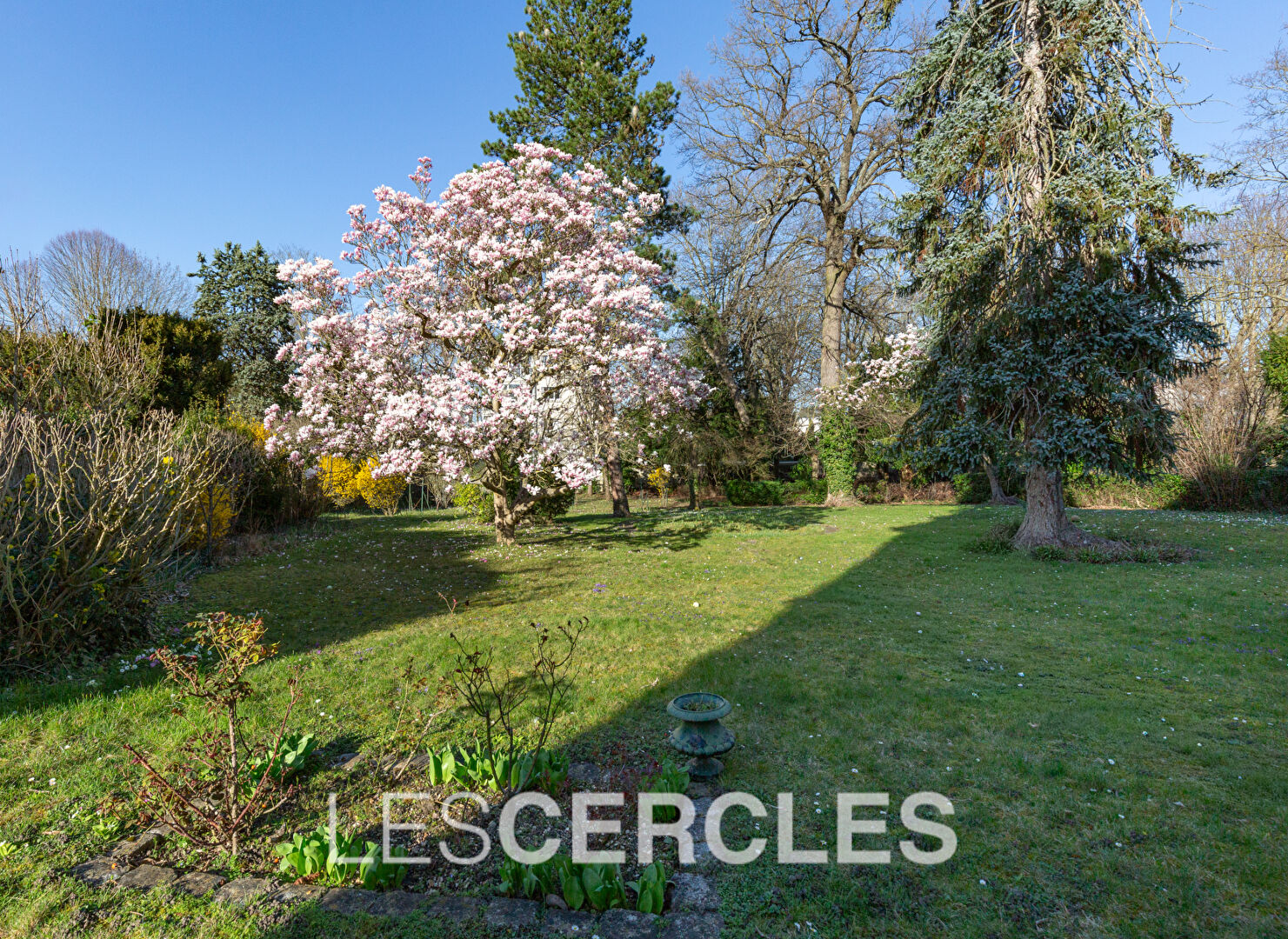 Agence les Cercles - Le Vésinet - 
Appartement 3 pièces de 155 m²
