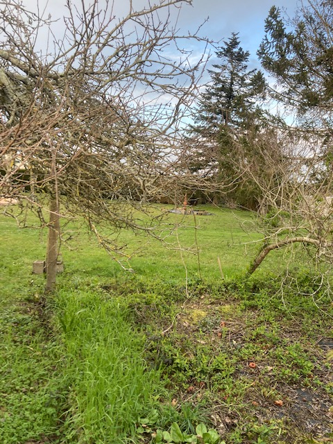 Photo THARON-PLAGE 44730,Terrain constructible, proche mer et commerces. image 2/6