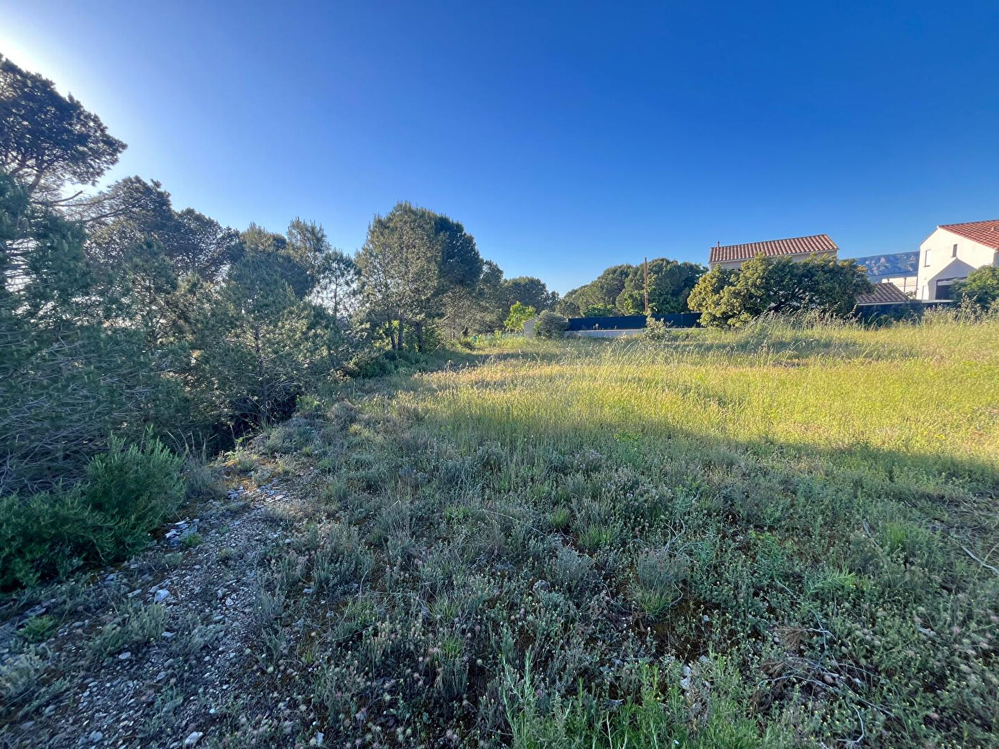 Agence immobilière de LOMAD Immobilier Pertuis