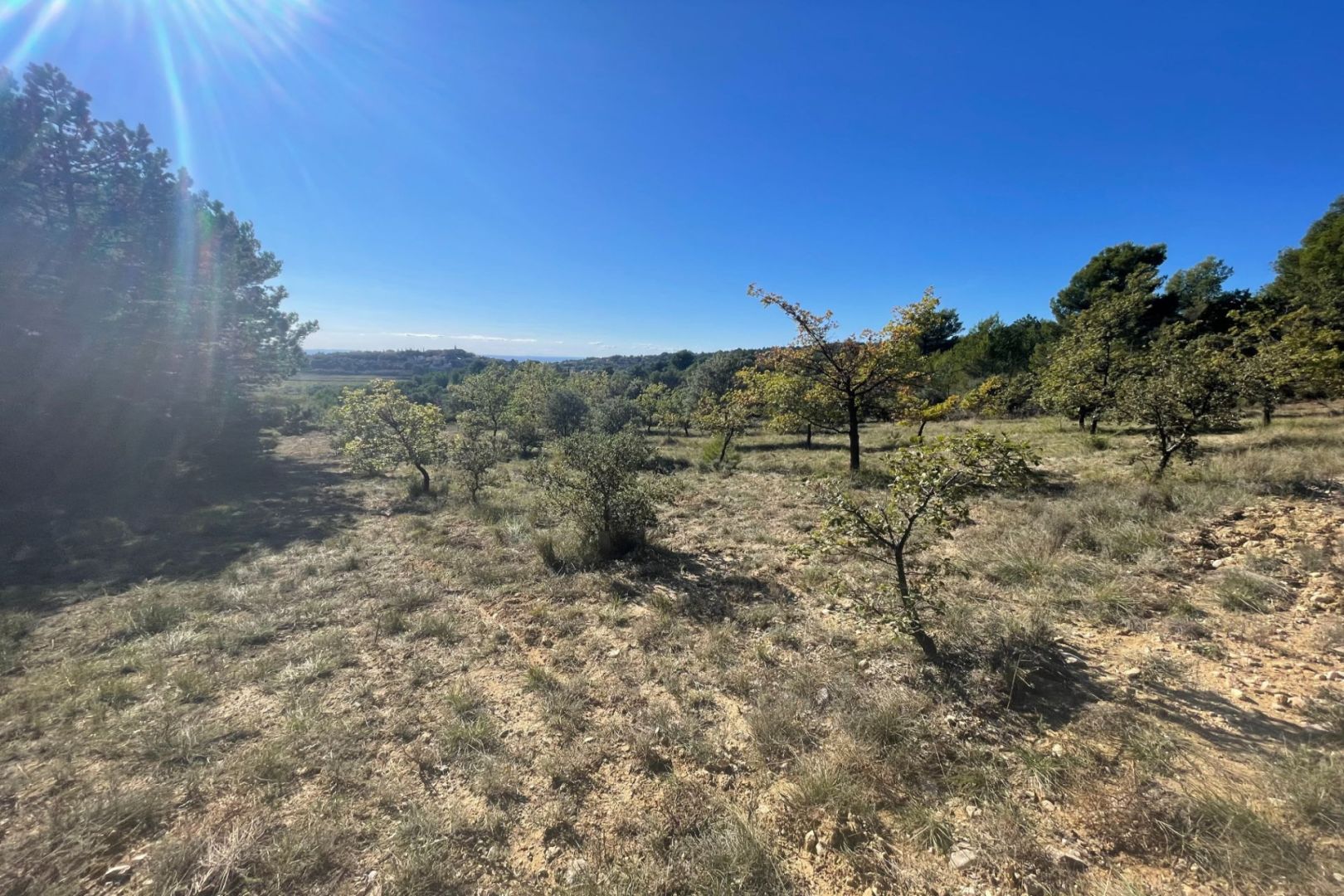 Agence immobilière de LUBERON VENTOUX Immobilier - Mazan