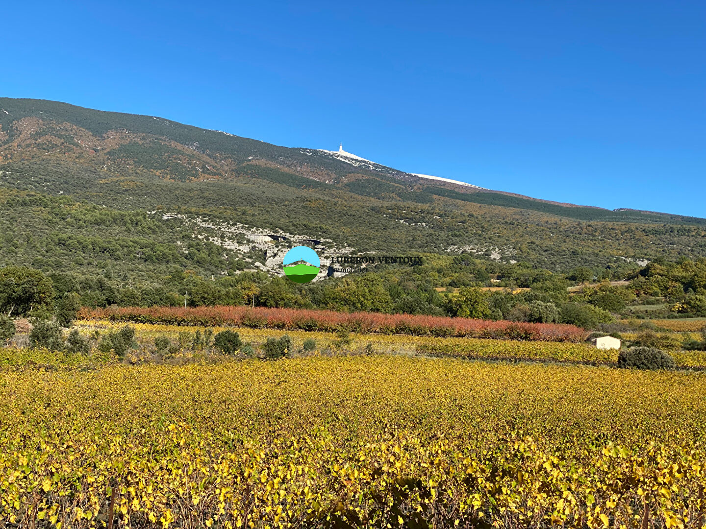 Agence immobilière de LUBERON VENTOUX Immobilier - Caromb