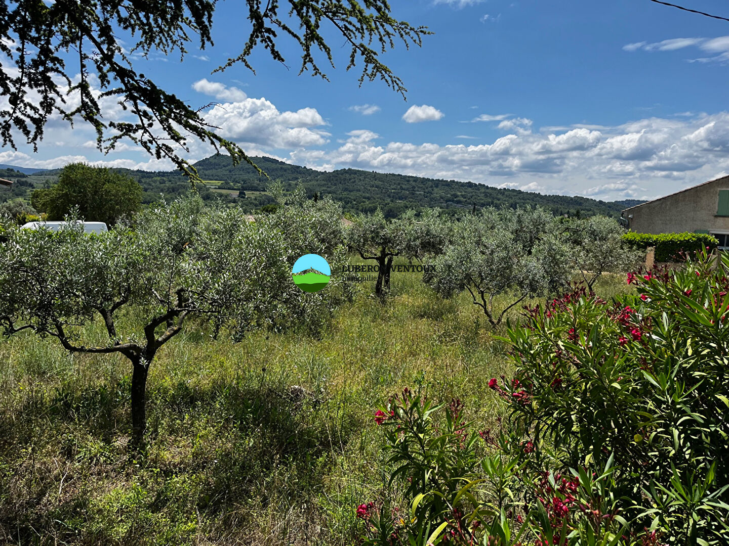 Agence immobilière de LUBERON VENTOUX Immobilier - Pernes-les-Fontaines