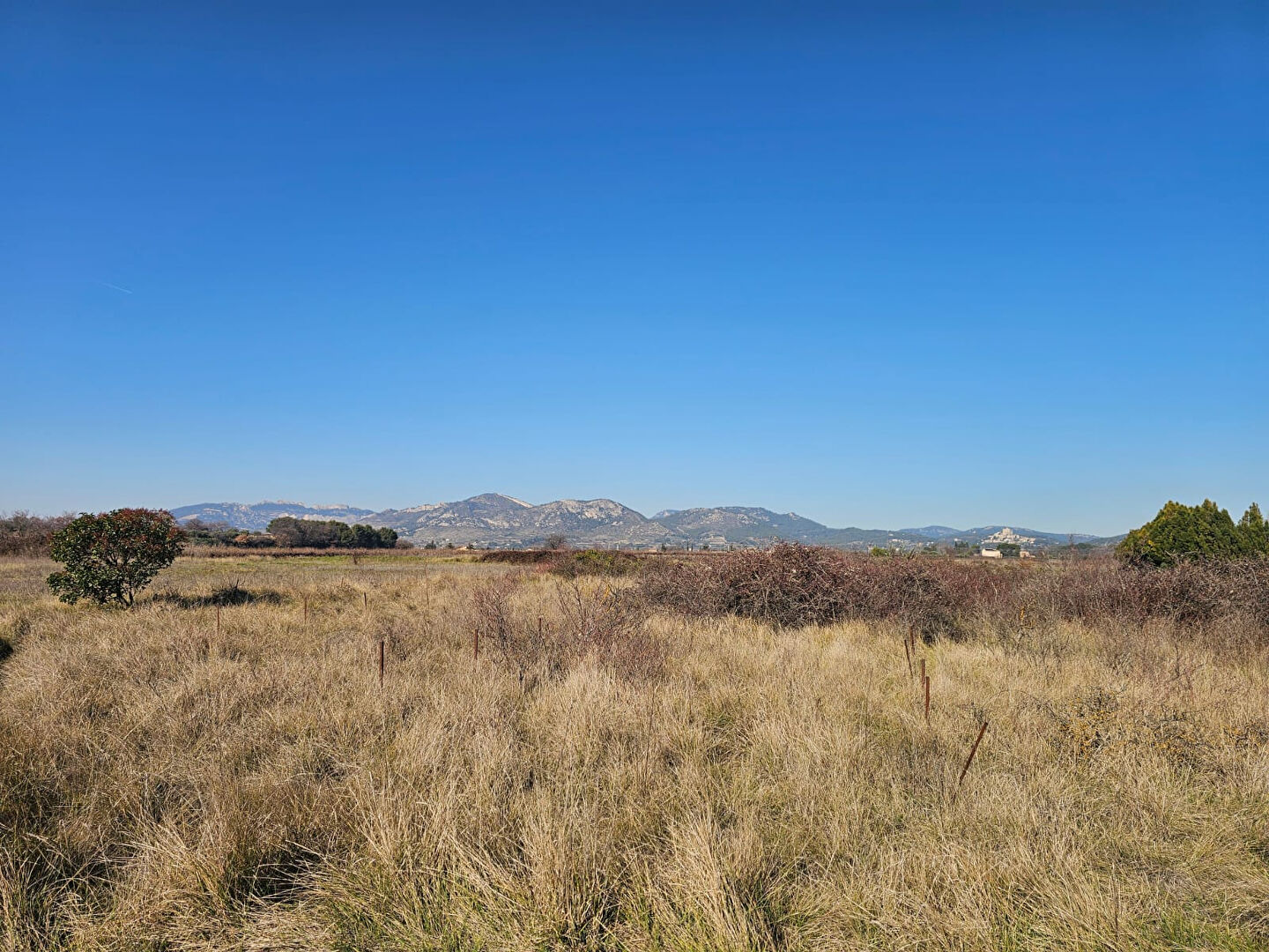 Photo Terrain Caromb 521 m² image 2/5