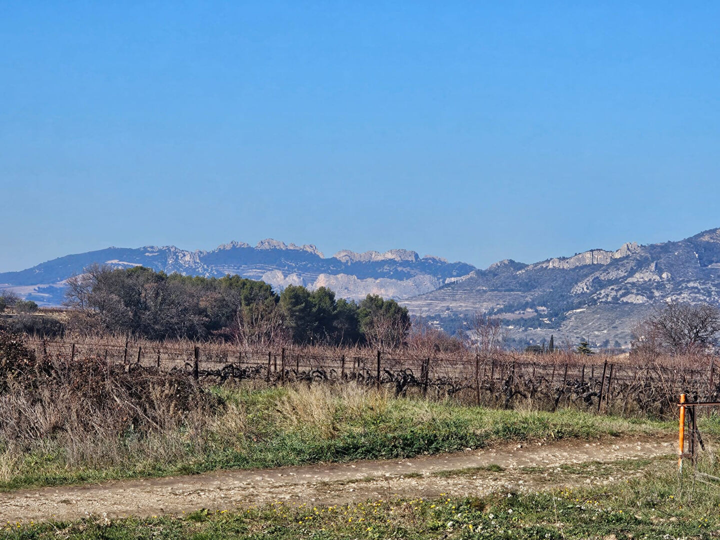 Photo Terrain Caromb 521 m² image 4/5