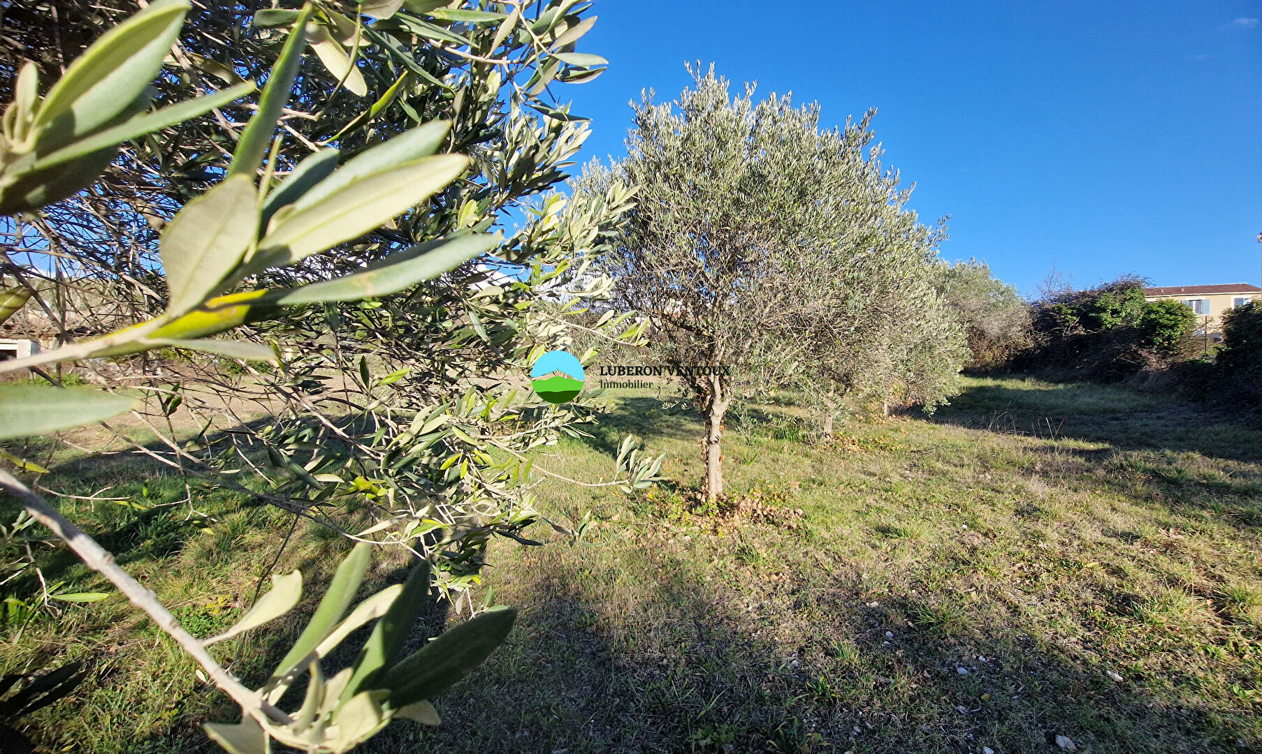 Agence immobilière de LUBERON VENTOUX Immobilier - Velleron