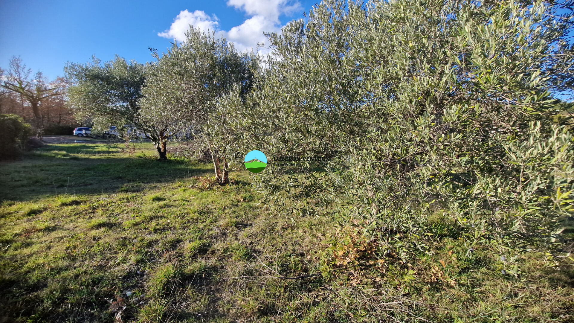 Agence immobilière de LUBERON VENTOUX Immobilier - Velleron