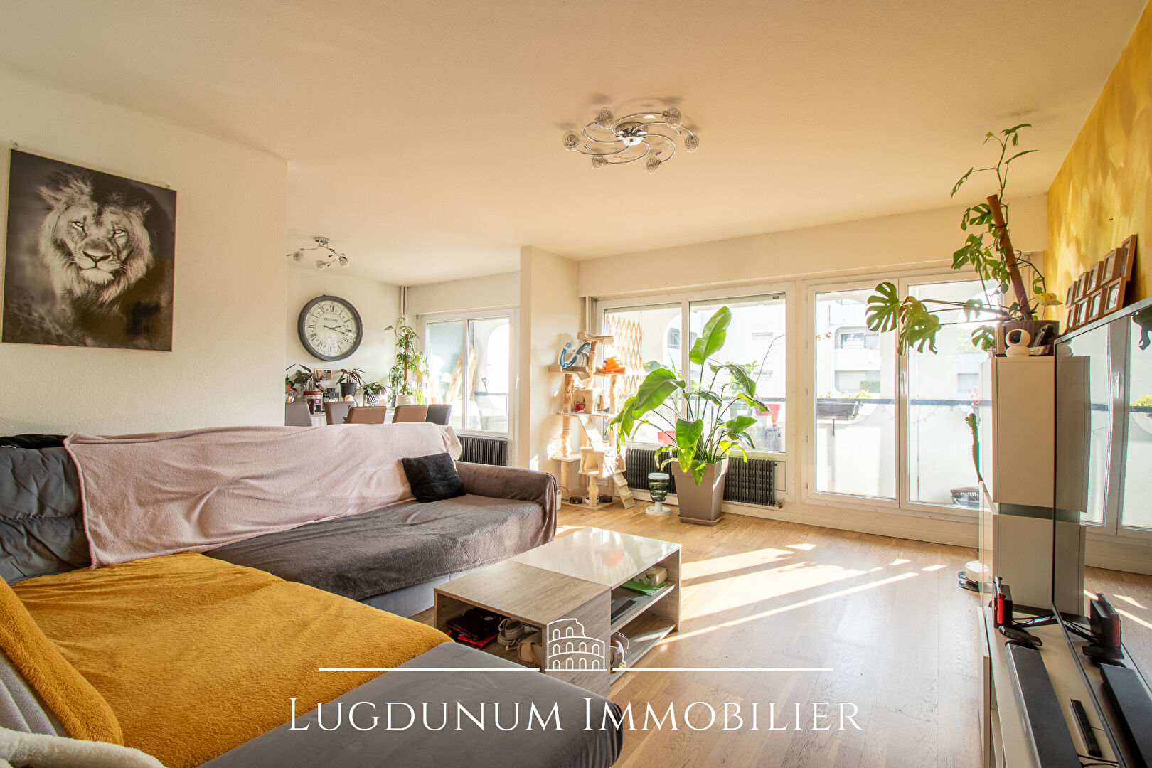 Agence immobilière de LUGDUNUM IMMOBILIER Lyon