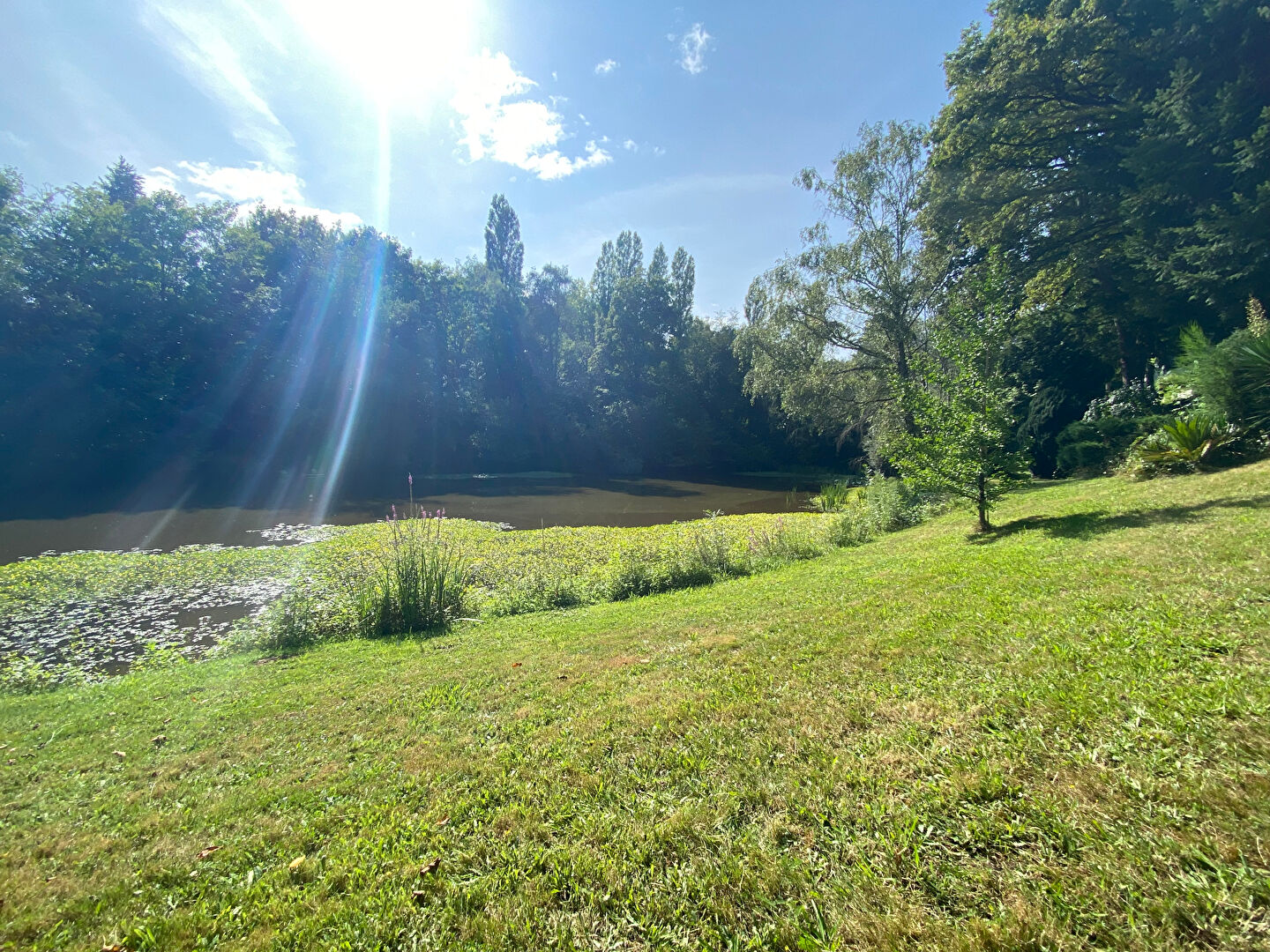 Photo ORVAULT - VALLEE DU CENS image 2/6