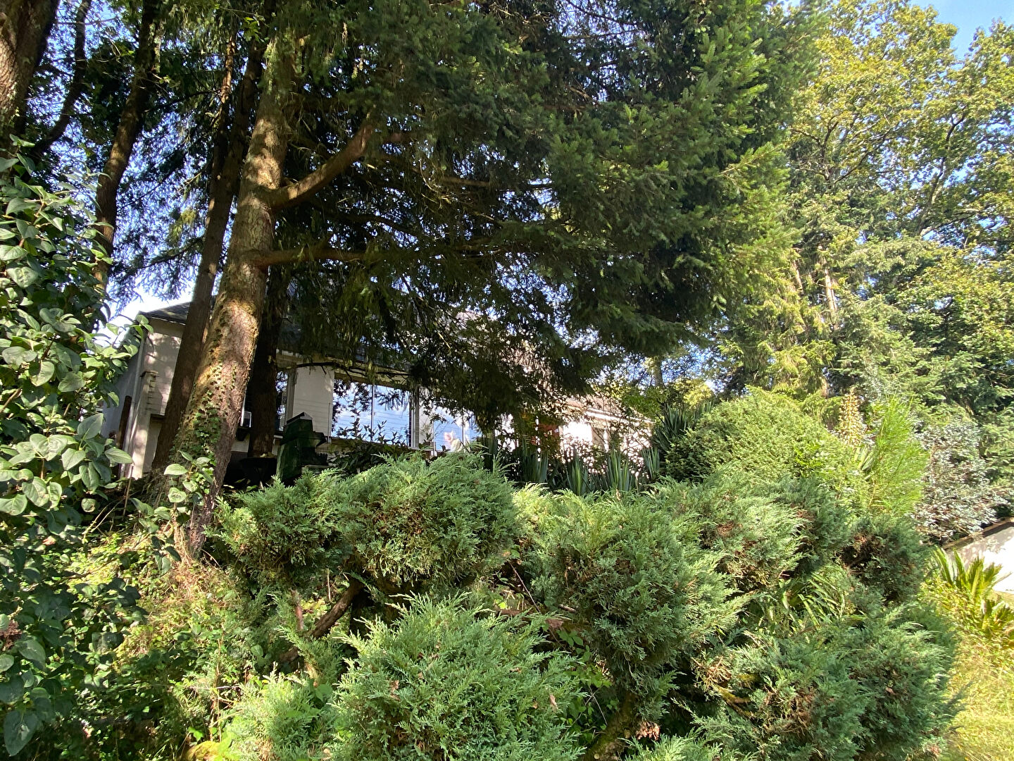 Photo ORVAULT - VALLEE DU CENS image 3/6