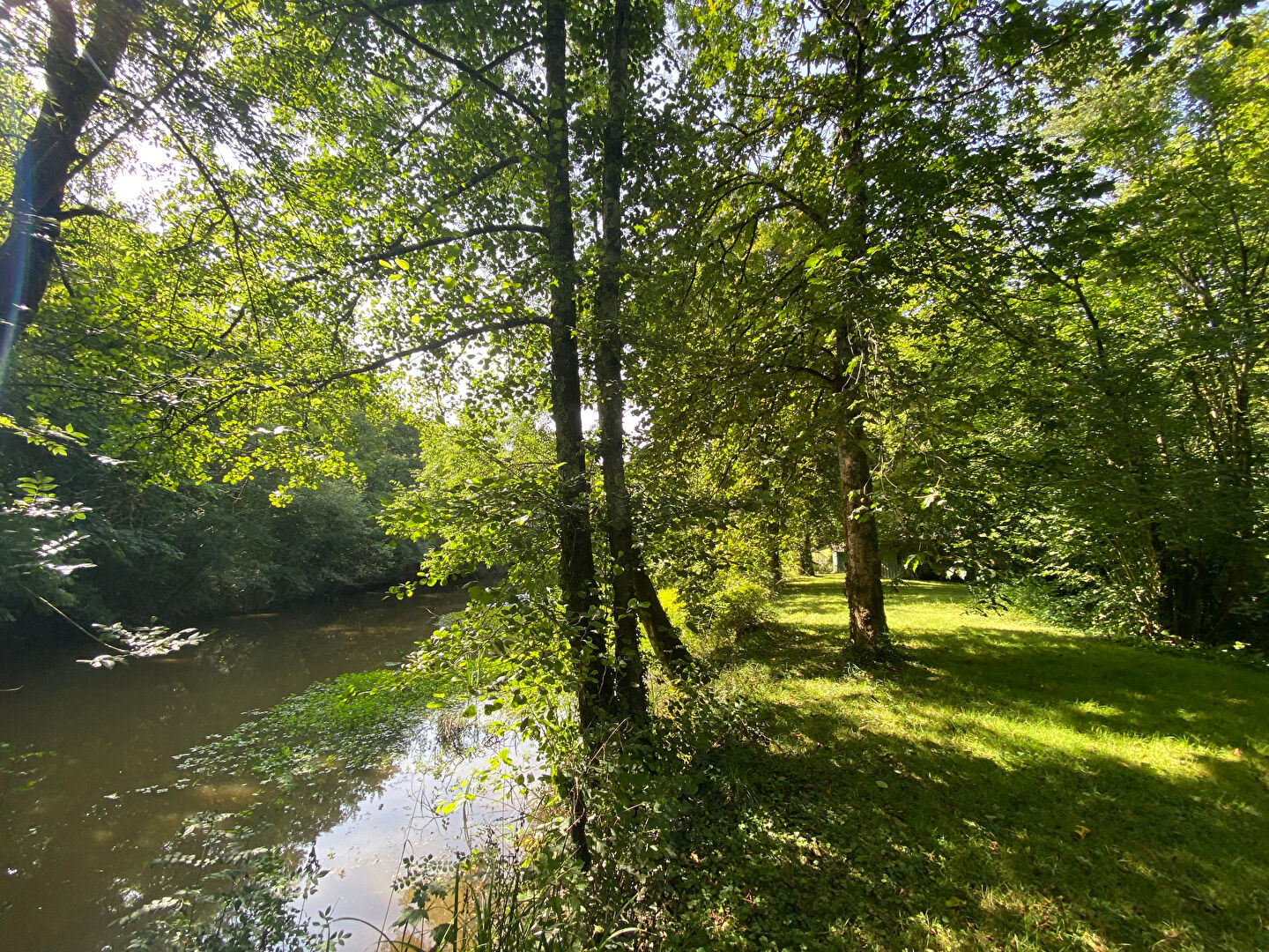 Photo ORVAULT - VALLEE DU CENS image 4/6