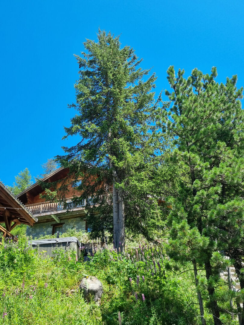 CHALET INDIVIDUEL D'HABITATION 180 m² + combles aménagées PLAGNE 1800