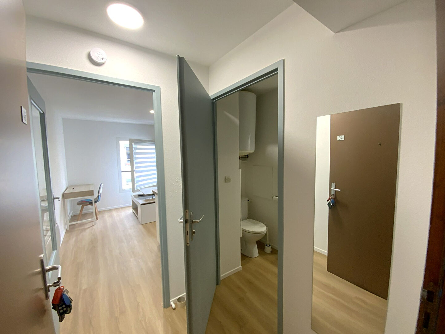 Photo Studio 18.05 m² Meublé rénové Part Dieu Lyon 3 image 2/6