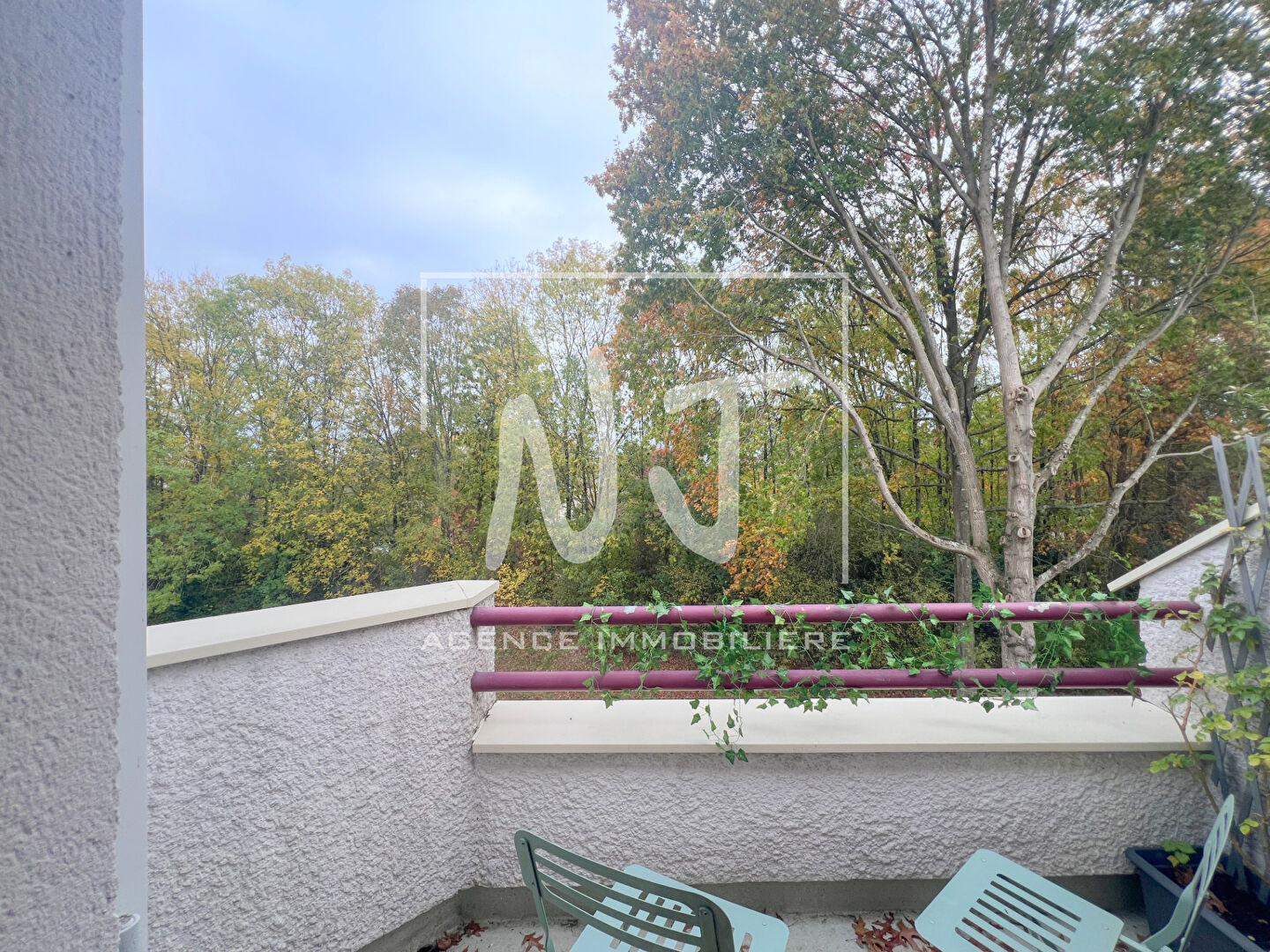 Photo Duplex avec terrasse - secteur prisé du Lac de Maine à Angers image 6/6