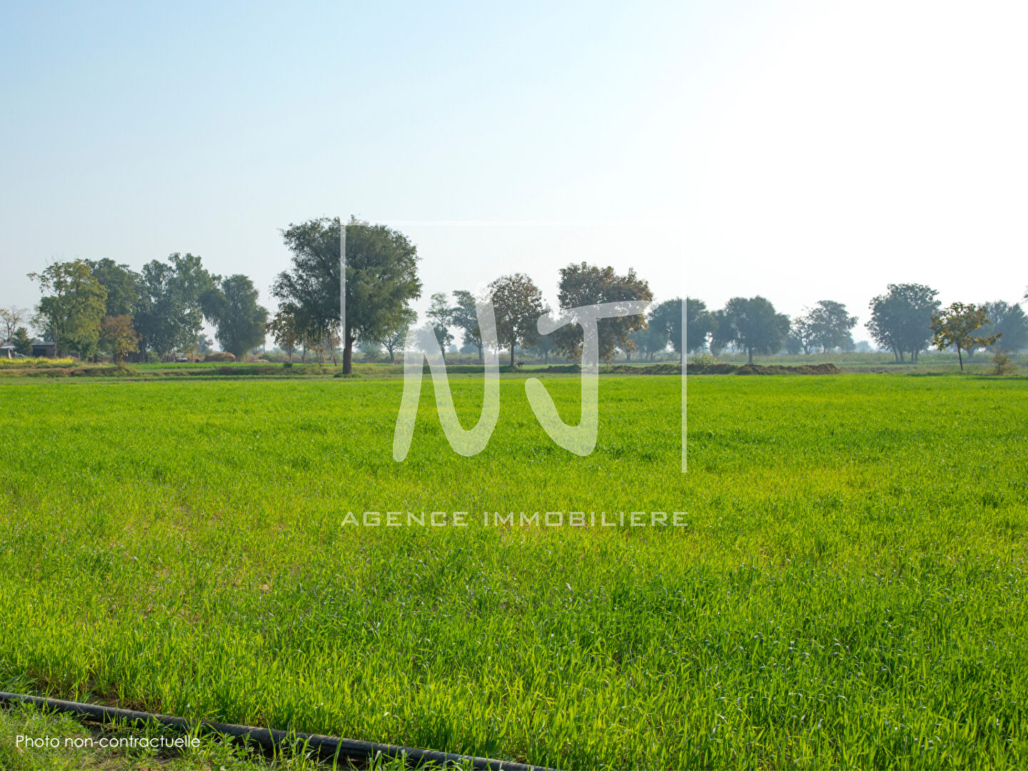 Agence immobilière de Nicole Joubert - Trélazé