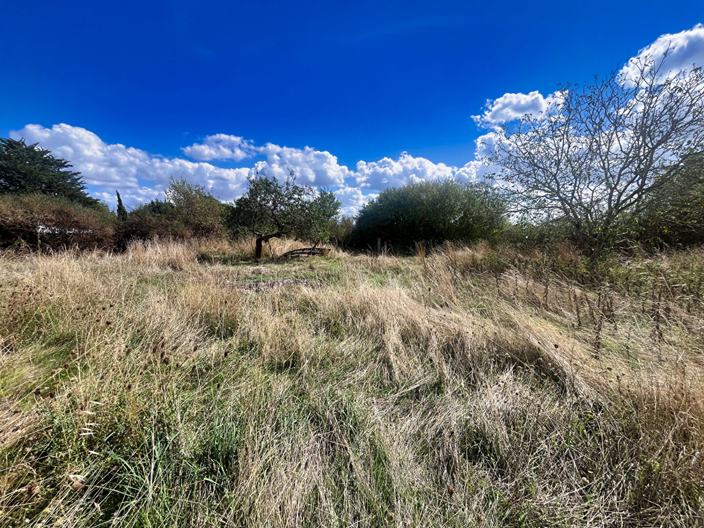 Terrain à vendre à Mozé-sur-Louet