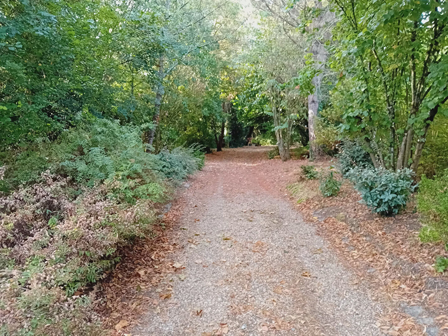 Terrain constructible – parc de 3000 m² à Soulaire et Bourg