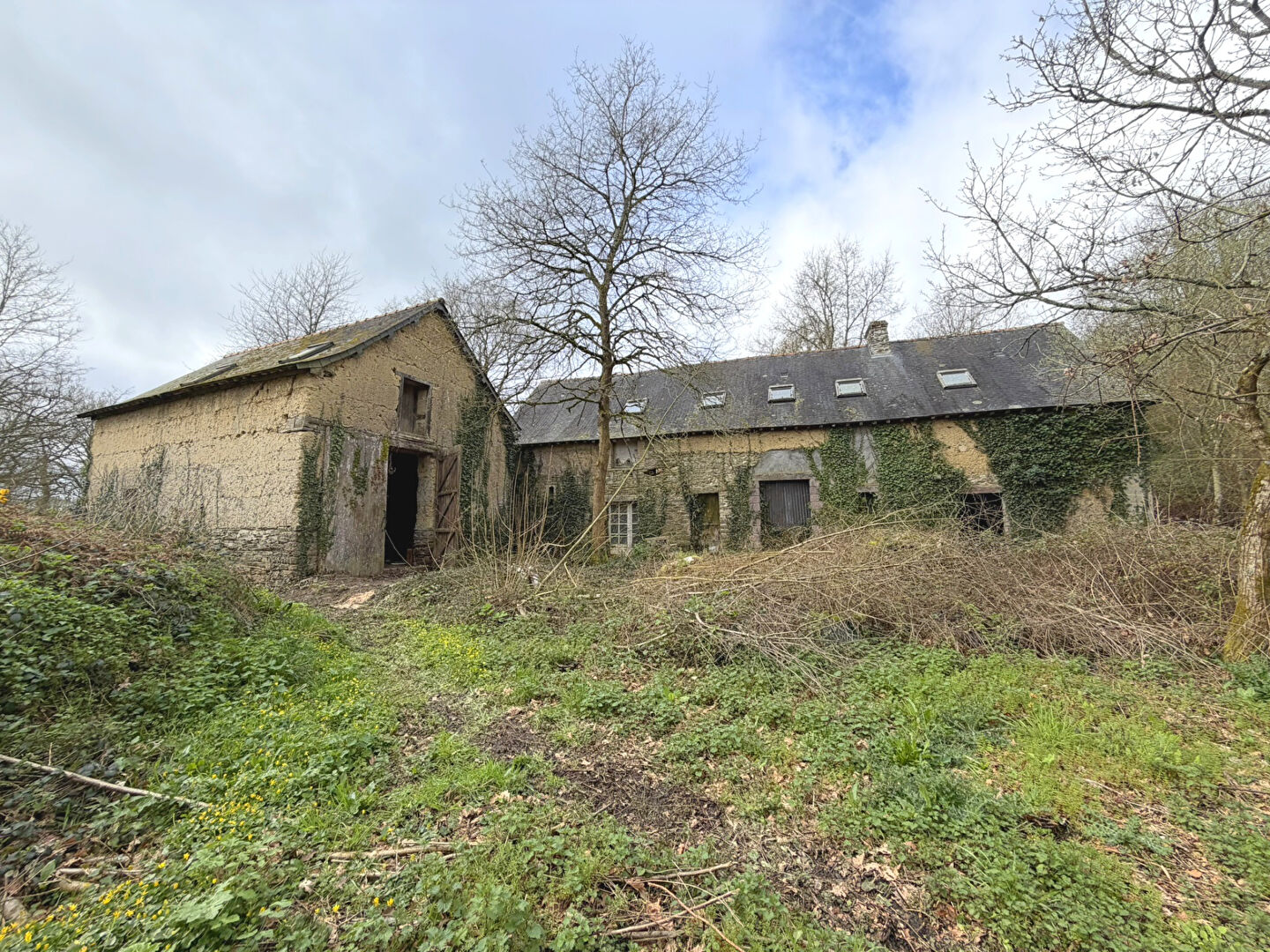 Agence immobilière de Office notarial Triau Saint Jacques de la Landes