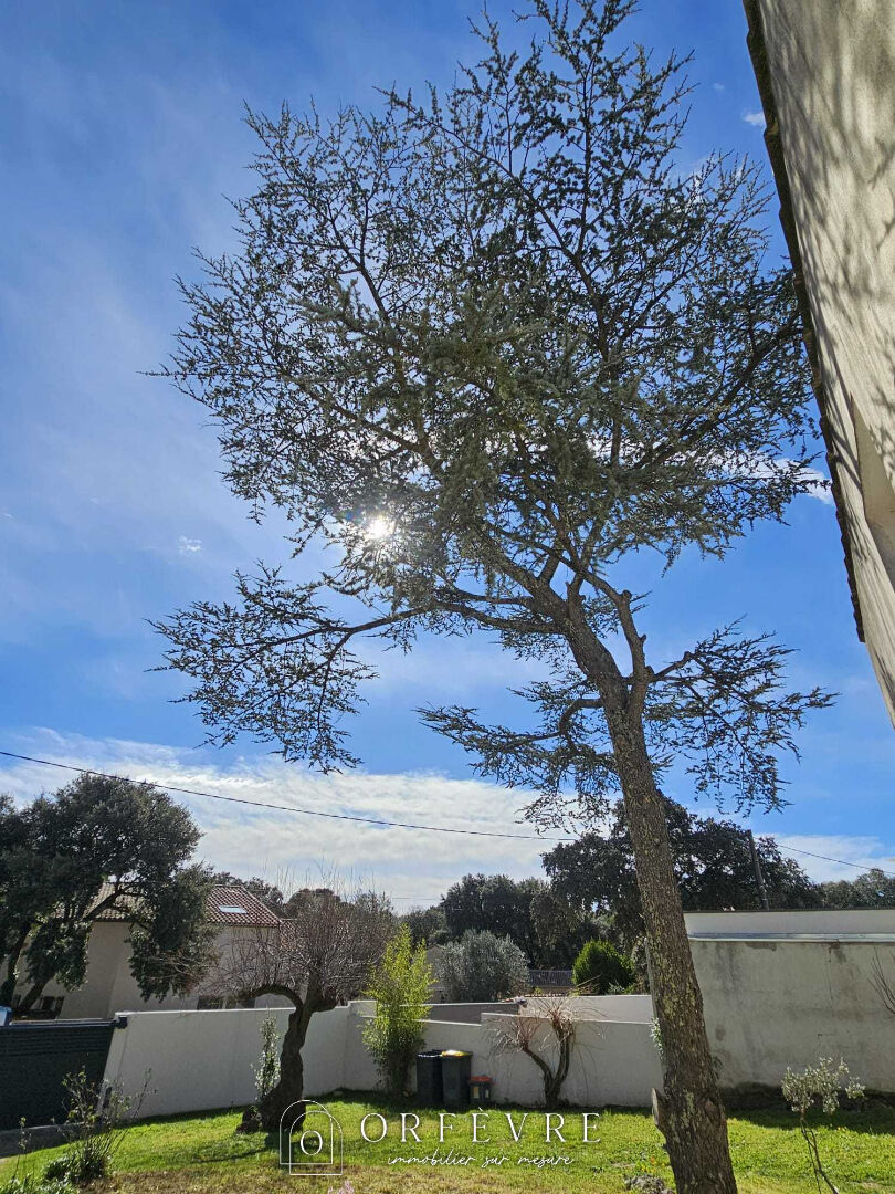 Photo TERRAIN  HABITATION Castelnau Le Lez - 2 pièce(s) image 1/3