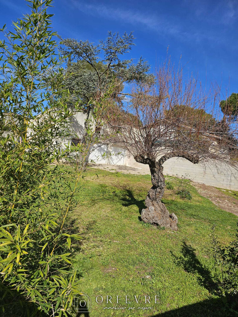 Photo TERRAIN  HABITATION Castelnau Le Lez - 2 pièce(s) image 3/3