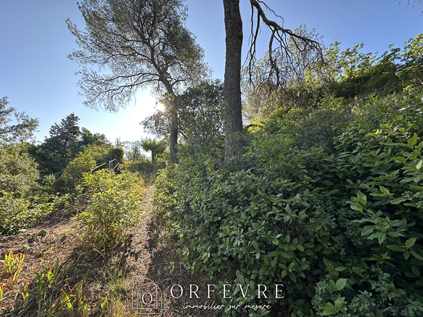 Agence immobilière de Orfèvre Immobilier - Castries