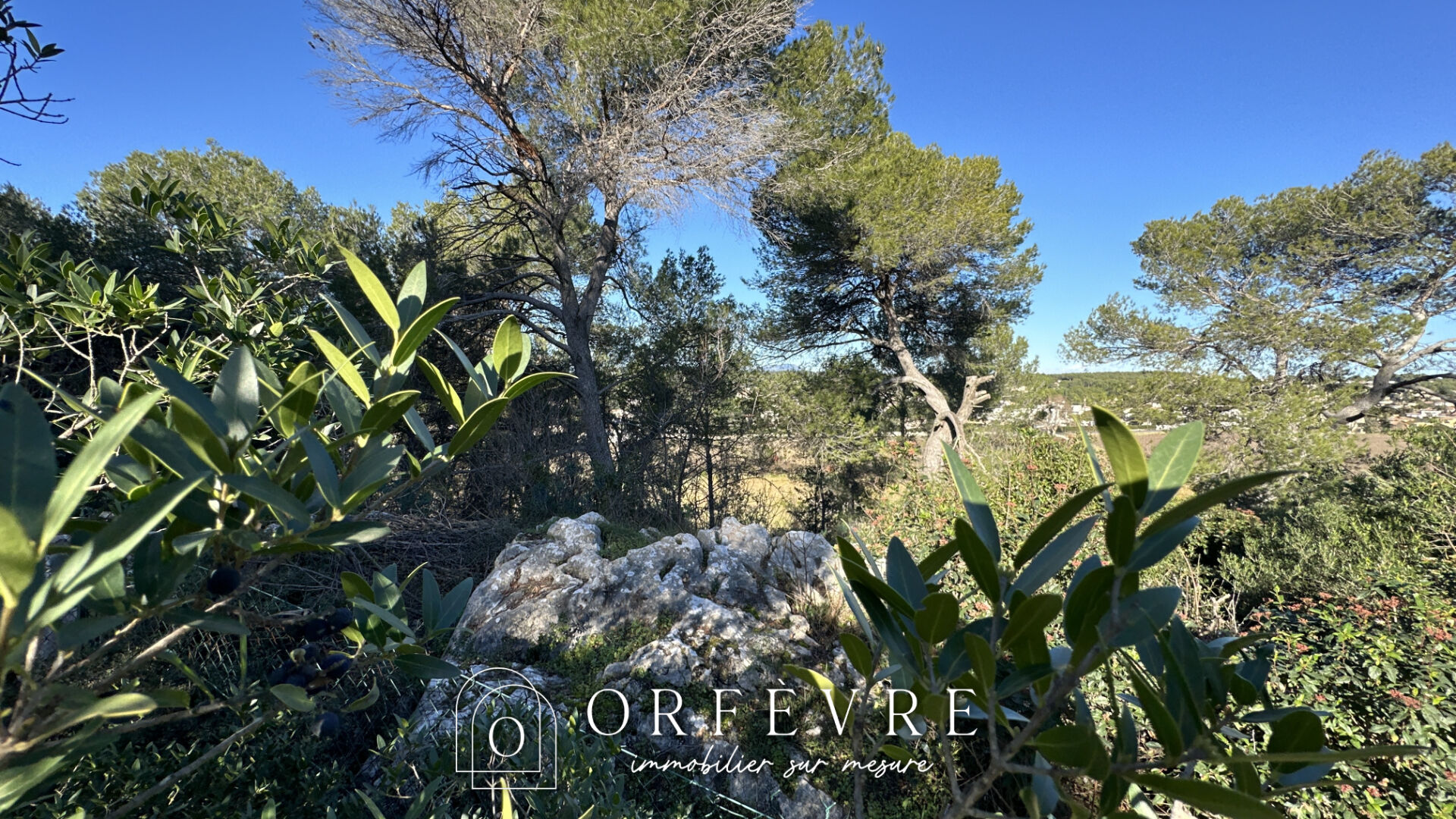 Agence immobilière de Orfèvre Immobilier