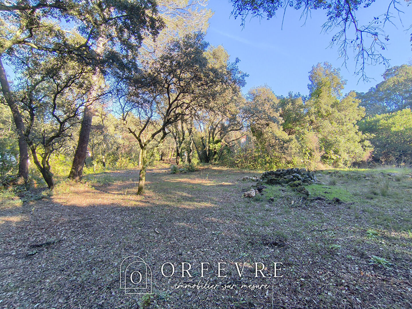 Agence immobilière de Orfèvre Immobilier - Castries