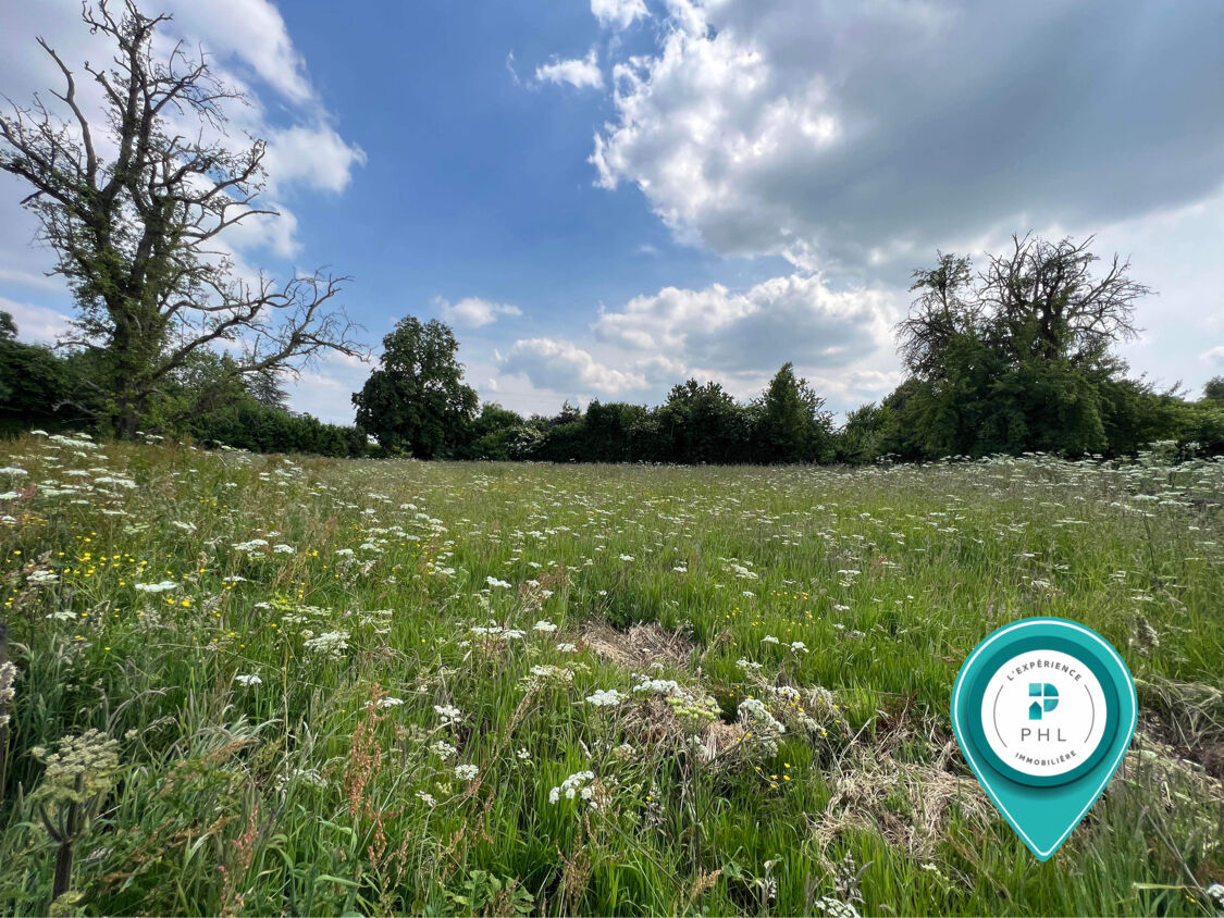 Photo TERRAIN CONSTRUCTIBLE VIABILISÉ DE 1 609 M² image 2/2