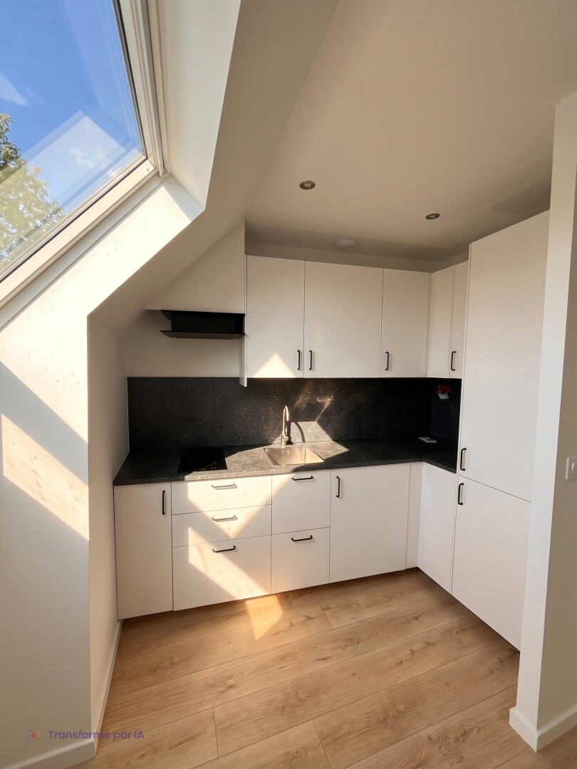 Noisy-le-Sec, 2 pièces de 51 m² refait à neuf (2)