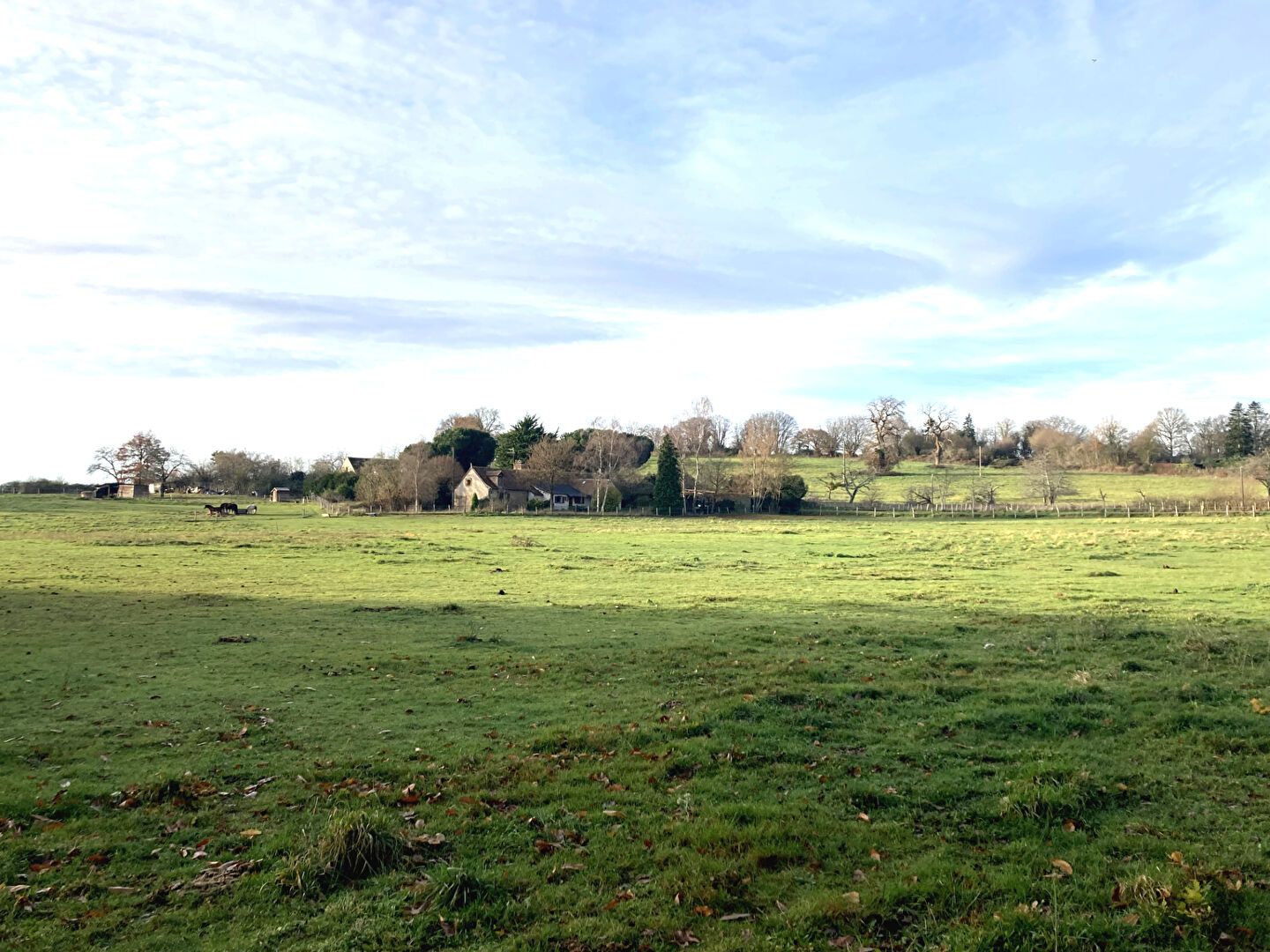 Agence immobilière de PLACID Mont de Marsan