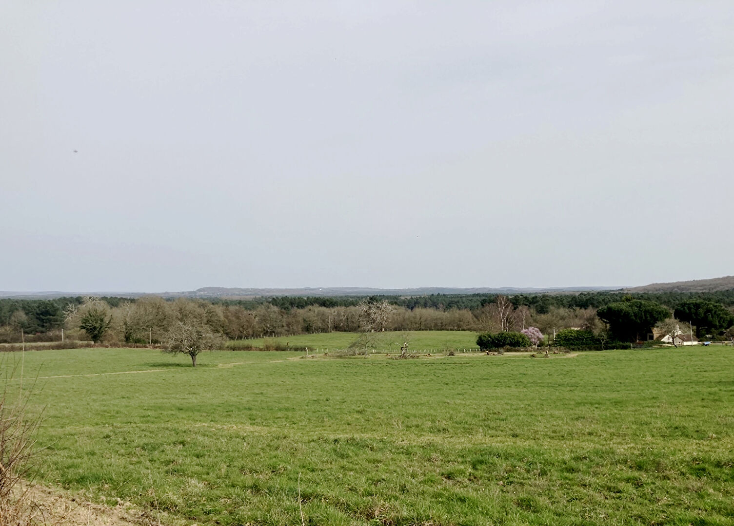 Agence immobilière de PLACID Mont de Marsan