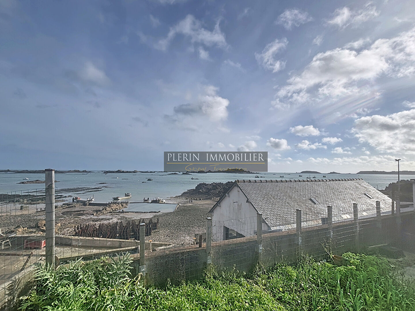 image annonce 59983689