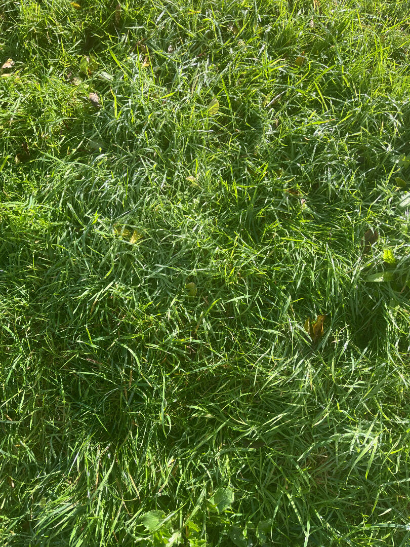 image annonce 60157545