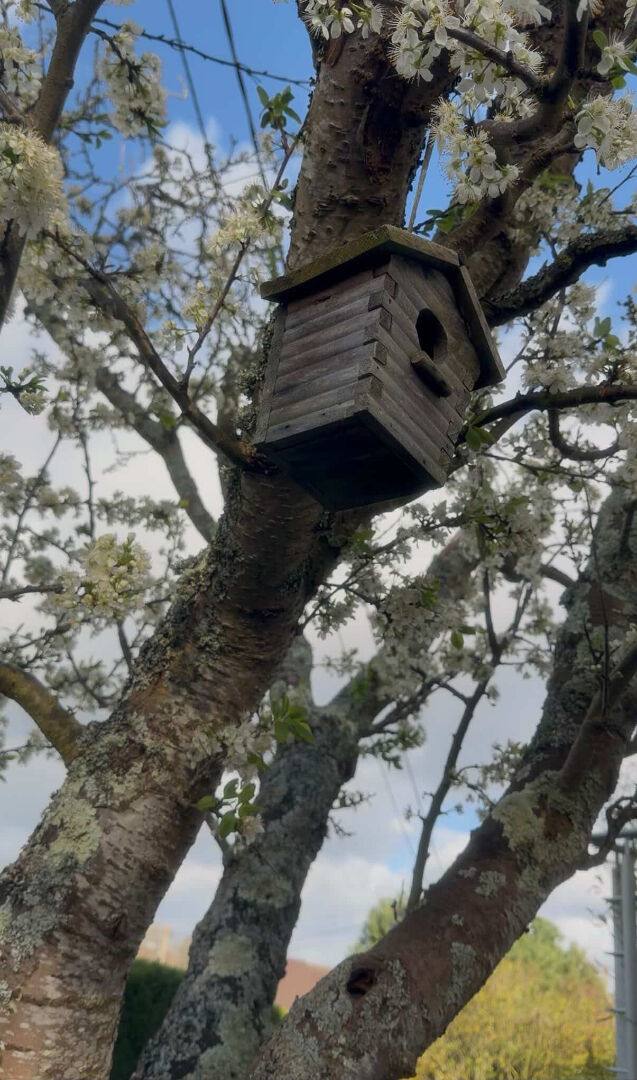 Progressia Immobilier - Le HAVRE-SAINTE ADRESSE - Maison 6 pièces150 m2, jardin, 4 chambres, garage