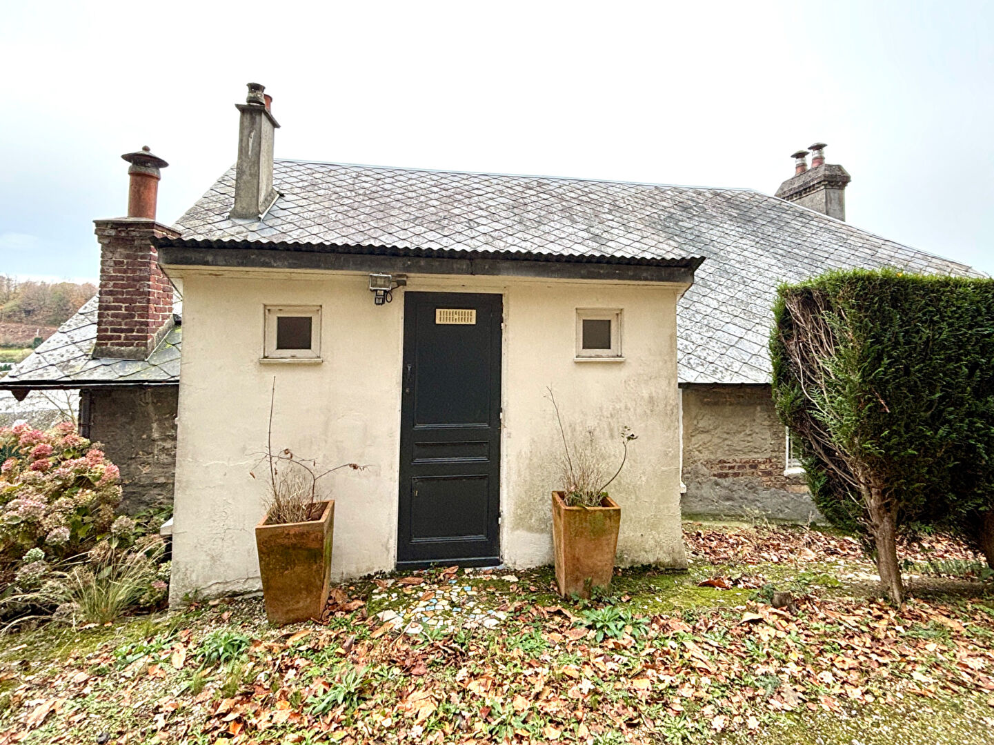 Progressia Immobilier - Gruchet-le-Valasse - Maison à vendre - 6 pièces, 4 chambres, grand terrain