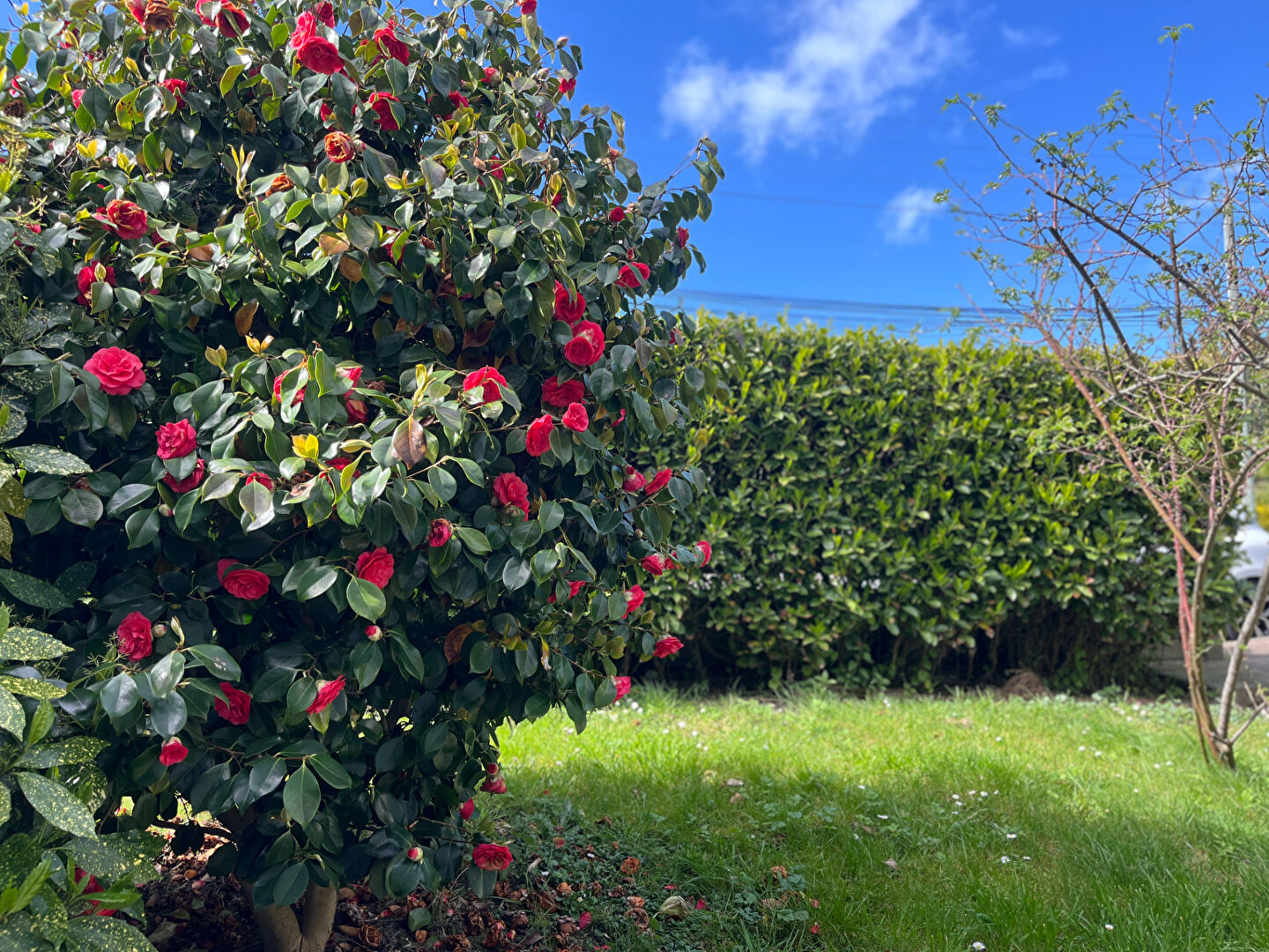 Progressia Immobilier - Appartement Le Havre  Sanvic 3 pièce(s) 53 m2