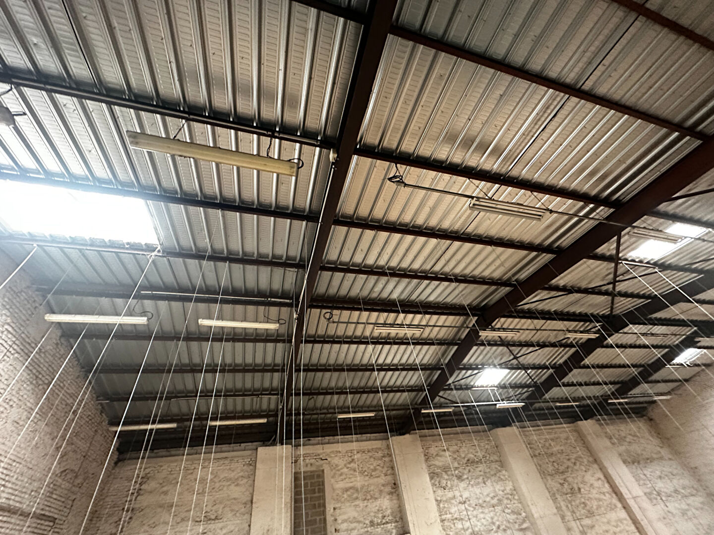 Progressia Immobilier - Local d'activité Le Havre 349 m2