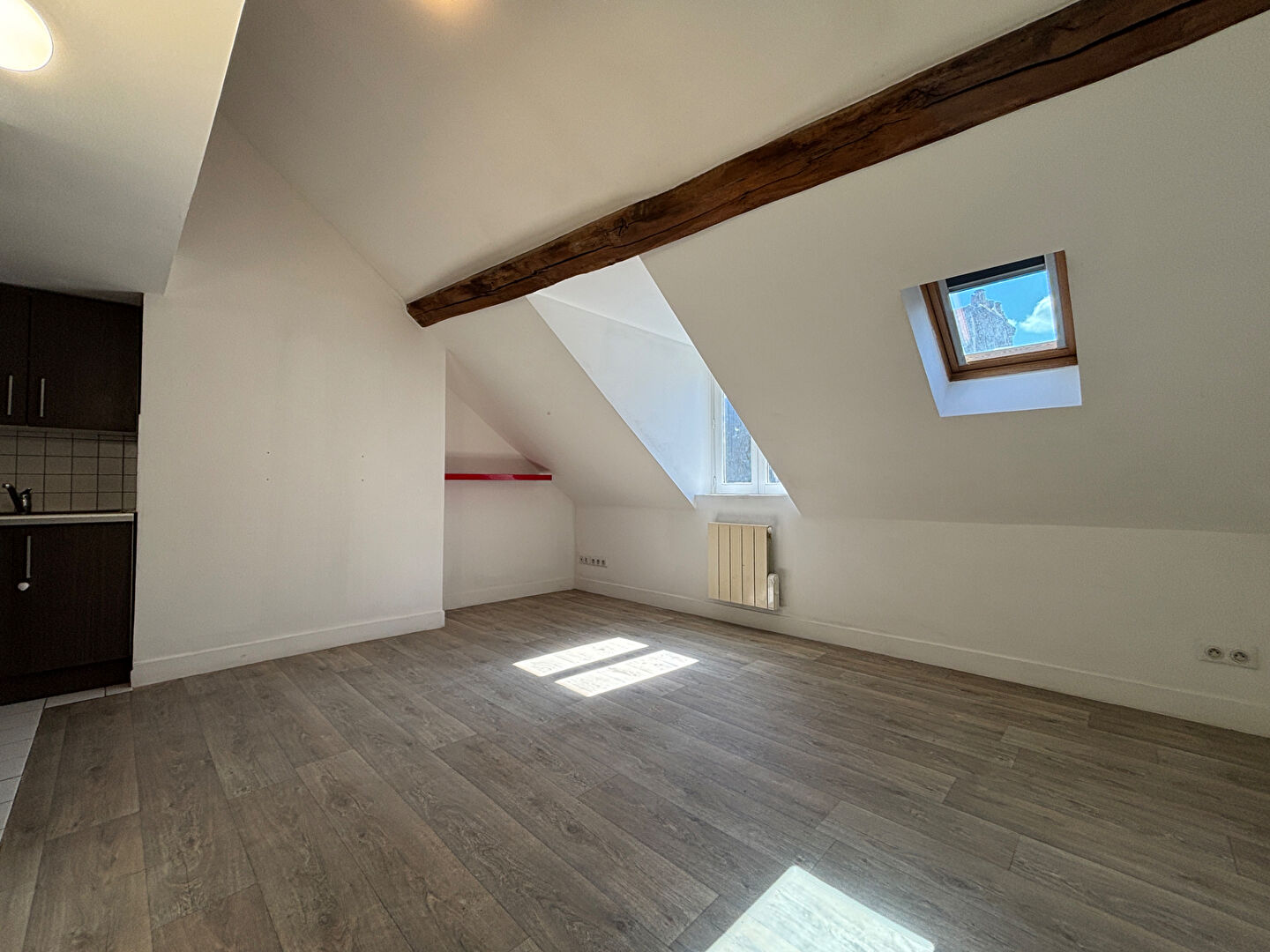 Agence immobilière de 
 Rhone Alpes Immobilier - RHONE ALPES IMMOBILIER 
