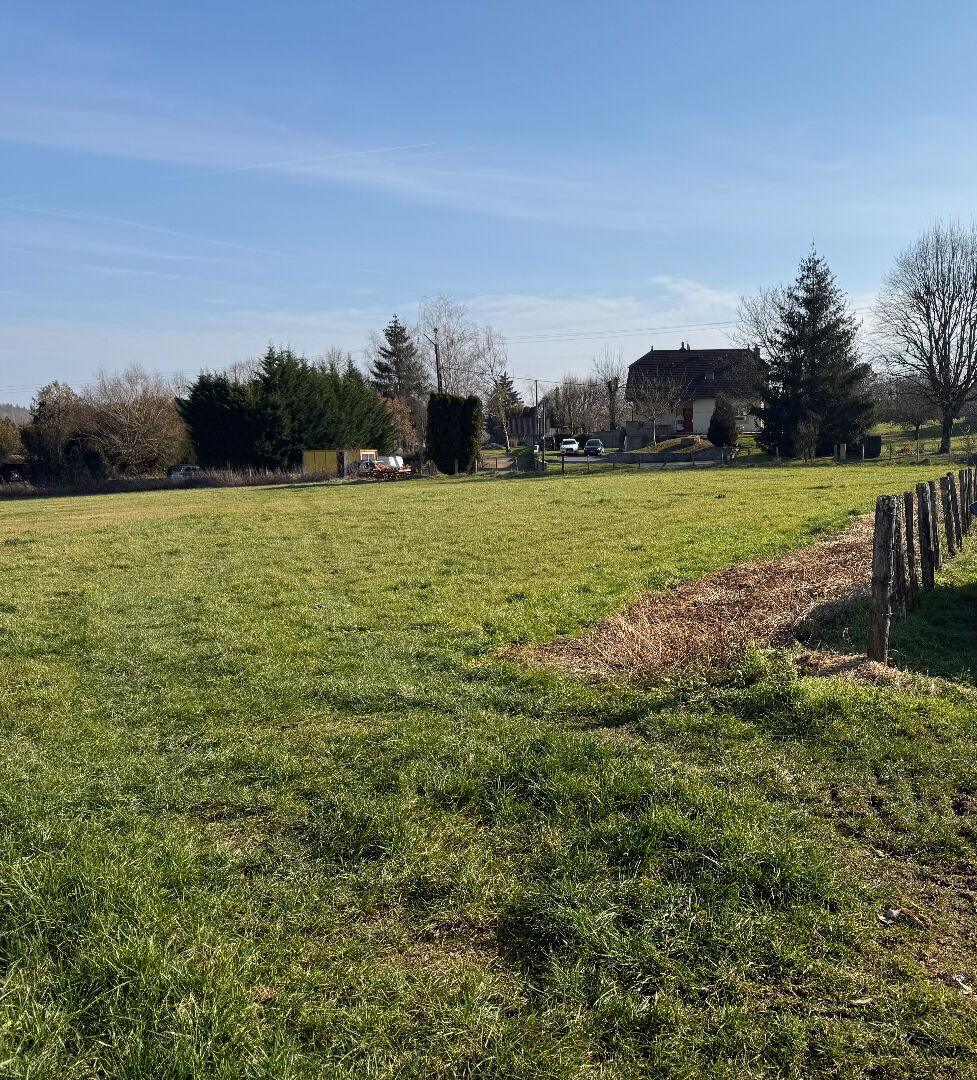 Terrain — Recologne