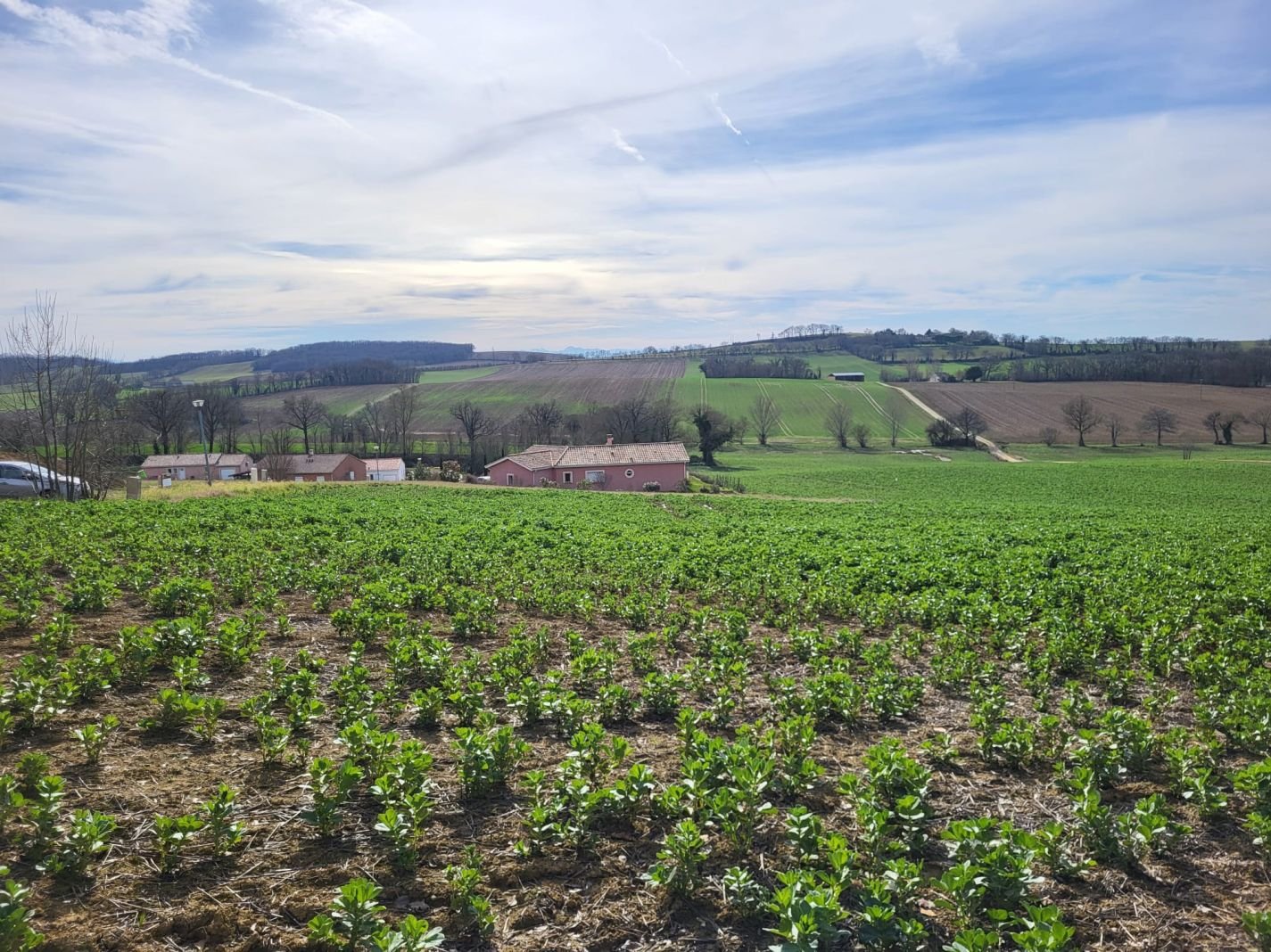 Terrain Constructible 1 148 m² - Vue Pyrénées