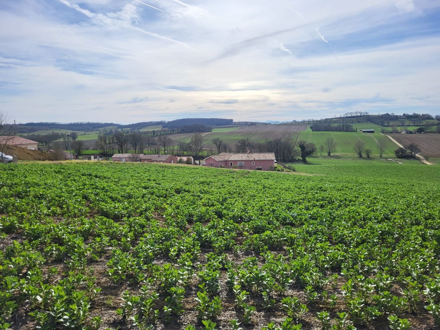 Terrain Constructible 1102 m² - Vue Imprenable sur les Pyrénées À vendre