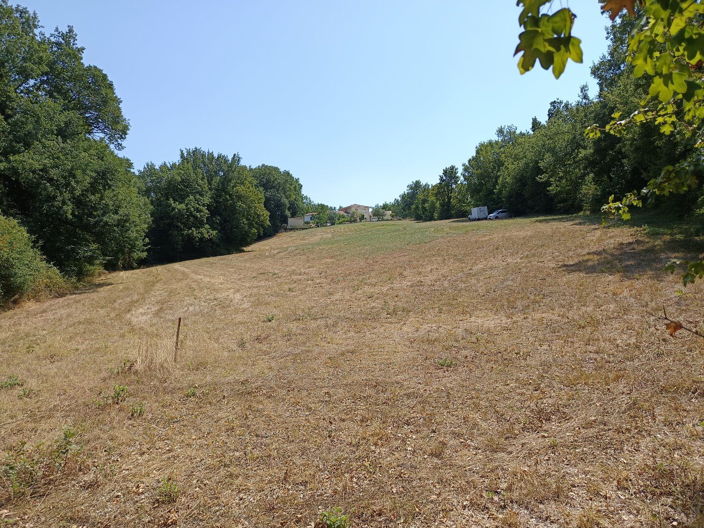 Agence immobilière de SELECTION HABITAT ALBI