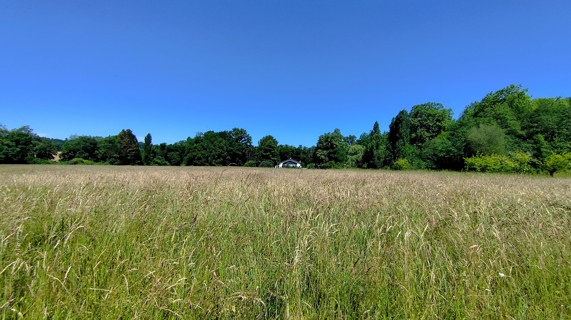 Propriété agricole de caractère avec moulin, terres et bâtiments à 40 minutes de Hossegor